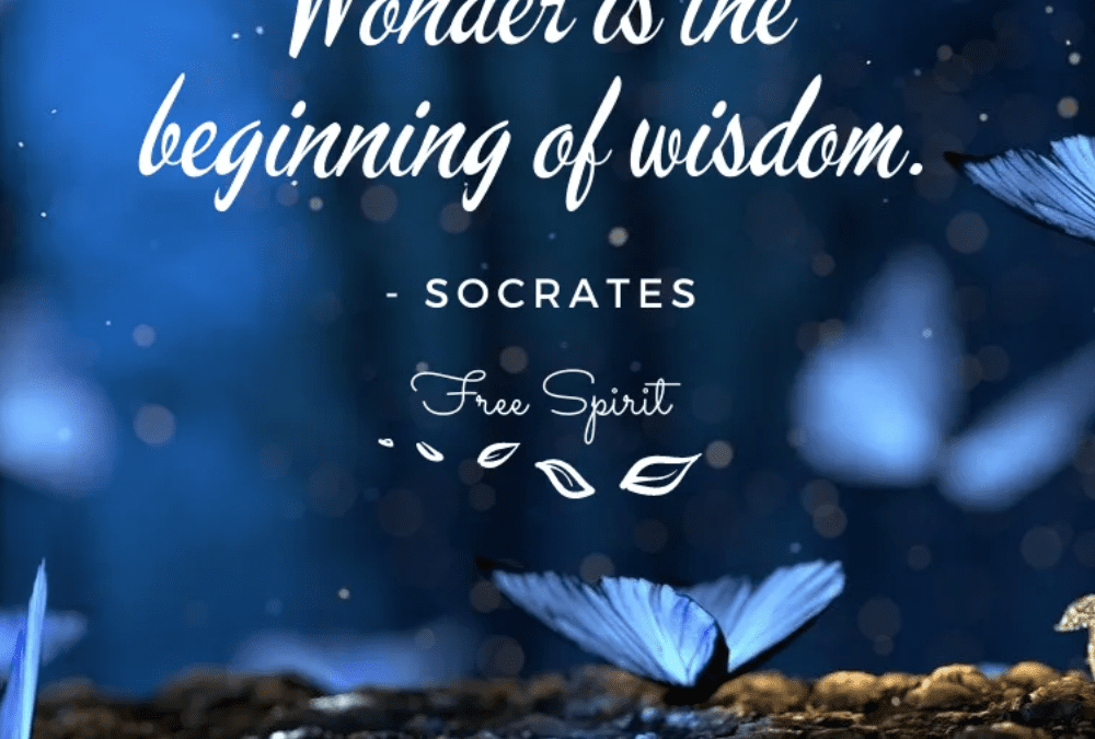A Letter to a Human Being on… Wonder