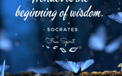 A Letter to a Human Being on… Wonder